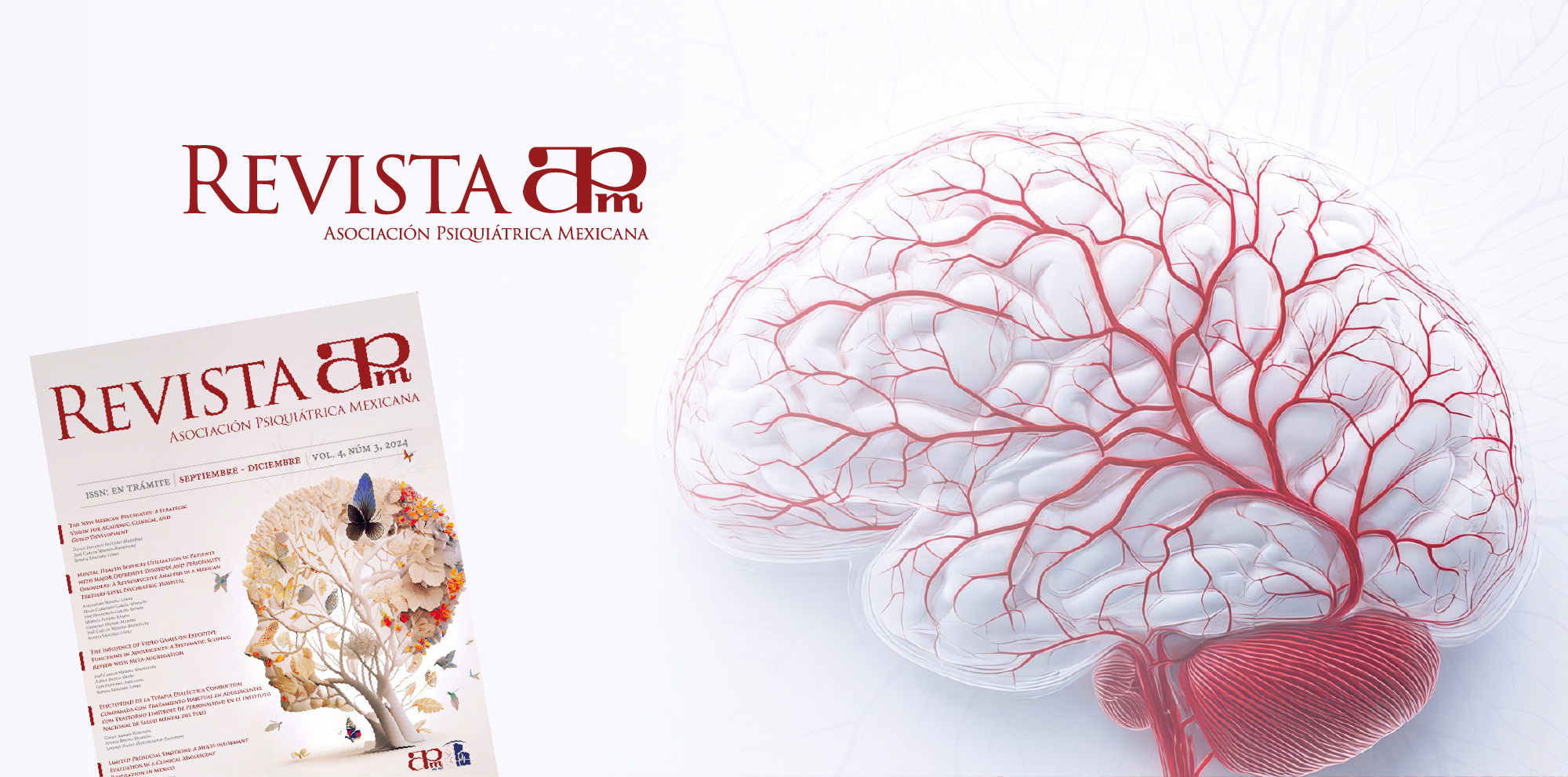 Revista